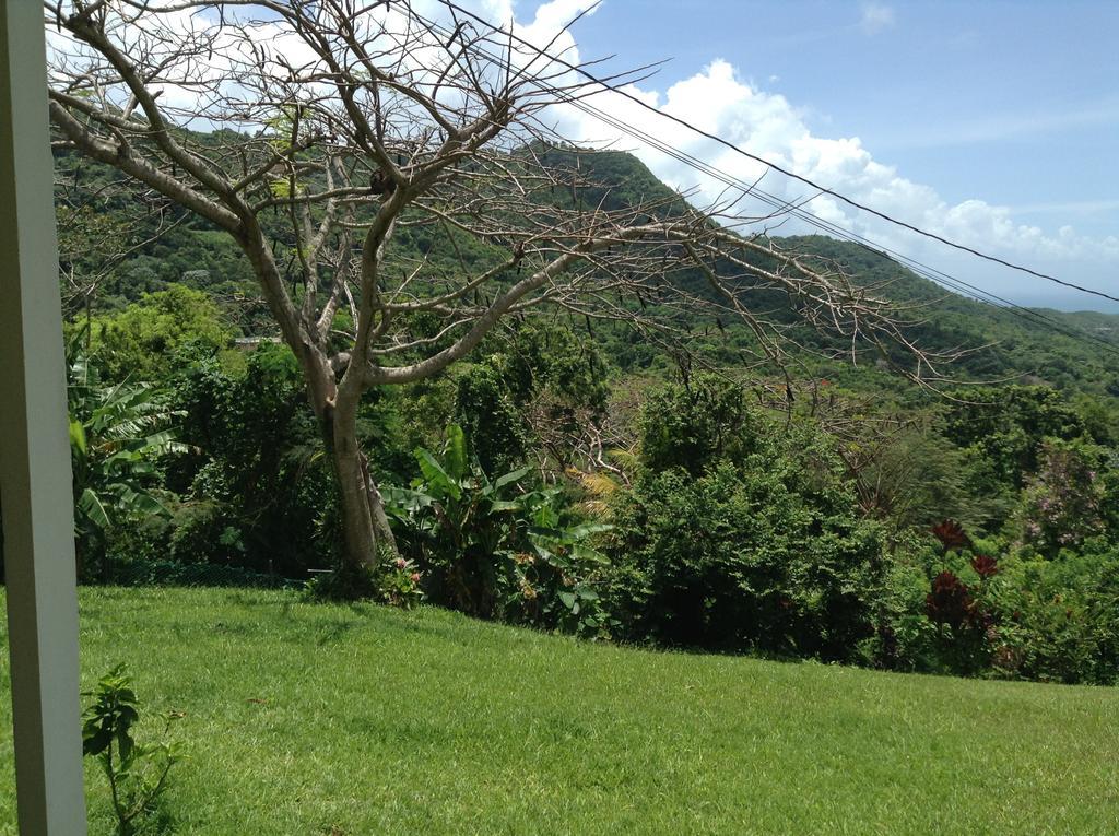 Ceiba Country Inn Fajardo Exteriör bild
