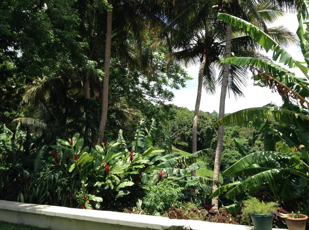 Ceiba Country Inn Fajardo Exteriör bild